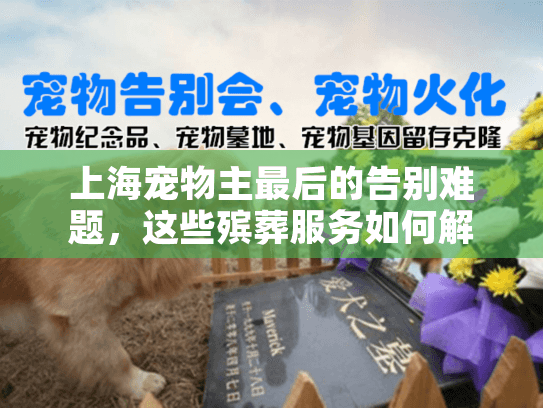 上海宠物主最后的告别难题，这些殡葬服务如何解忧？