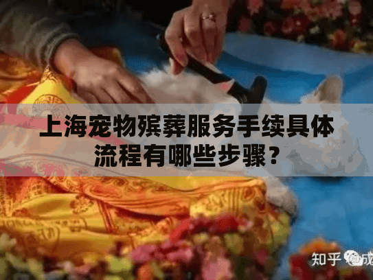 上海宠物殡葬服务手续具体流程有哪些步骤？
