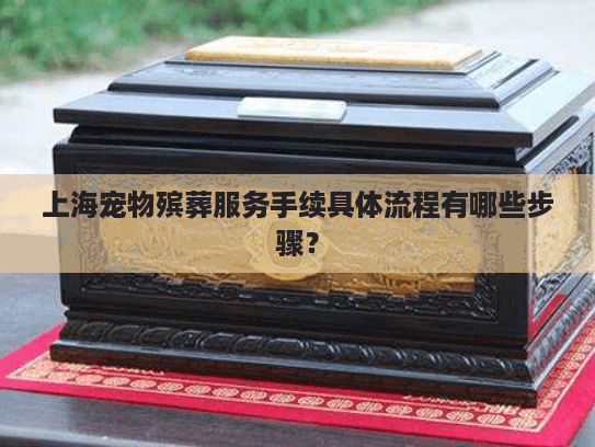 上海宠物殡葬服务手续具体流程有哪些步骤？
