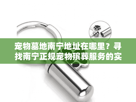 宠物墓地南宁地址在哪里？寻找南宁正规宠物殡葬服务的实用指南