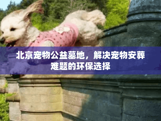 北京宠物公益墓地，解决宠物安葬难题的环保选择