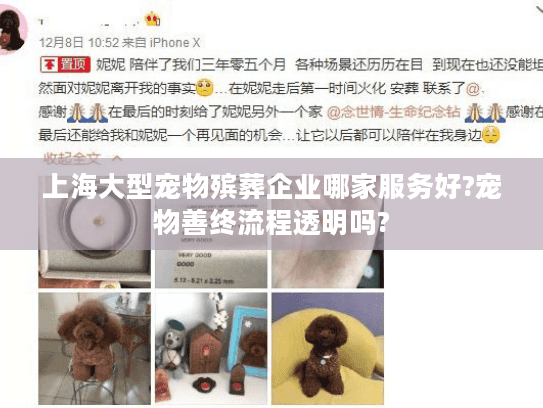 上海大型宠物殡葬企业哪家服务好?宠物善终流程透明吗?