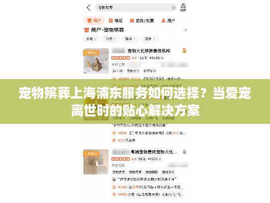宠物殡葬上海浦东服务如何选择？当爱宠离世时的贴心解决方案