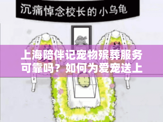 上海陪伴记宠物殡葬服务可靠吗？如何为爱宠送上体面的告别