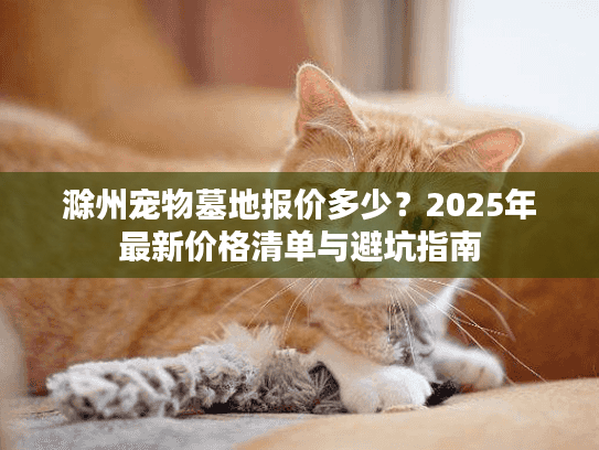 滁州宠物墓地报价多少？2025年最新价格清单与避坑指南