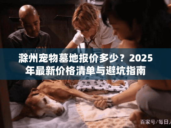 滁州宠物墓地报价多少？2025年最新价格清单与避坑指南