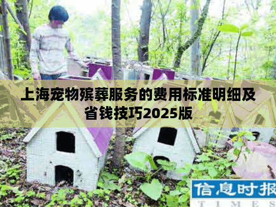 上海宠物殡葬服务的费用标准明细及省钱技巧2025版