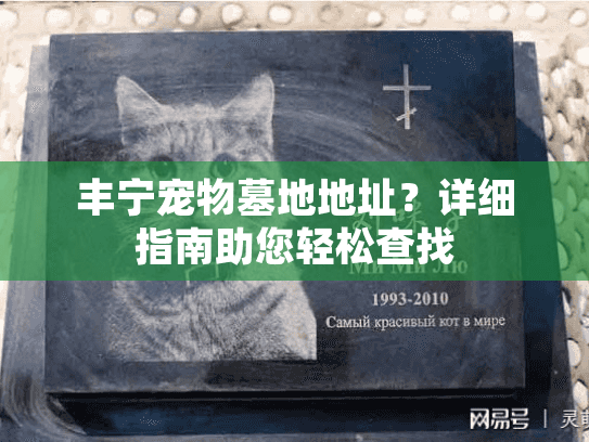 丰宁宠物墓地地址?详细指南助您轻松查找 丰宁宠物墓地地址?详细指南助您轻松查找