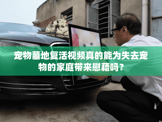 宠物墓地复活视频真的能为失去宠物的家庭带来慰藉吗？