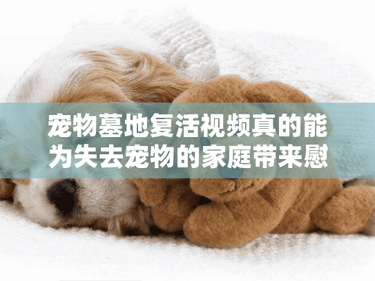 宠物墓地复活视频真的能为失去宠物的家庭带来慰藉吗？