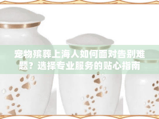 宠物殡葬上海人如何面对告别难题？选择专业服务的贴心指南