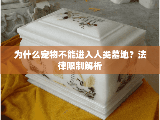 为什么宠物不能进入人类墓地？法律限制解析