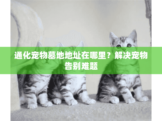 通化宠物墓地地址在哪里？解决宠物告别难题