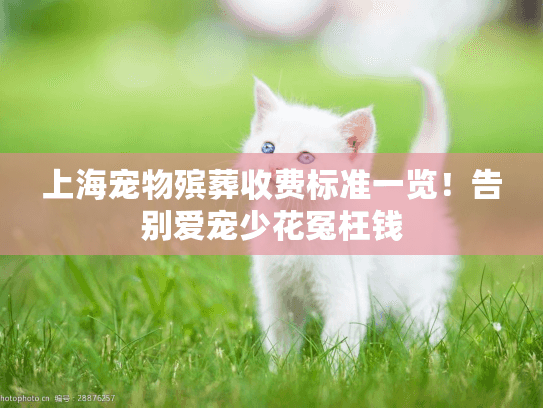 上海宠物殡葬收费标准一览！告别爱宠少花冤枉钱