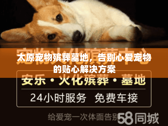 太原宠物殡葬墓地，告别心爱宠物的贴心解决方案