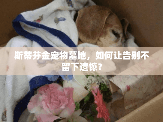 斯蒂芬金宠物墓地，如何让告别不留下遗憾？