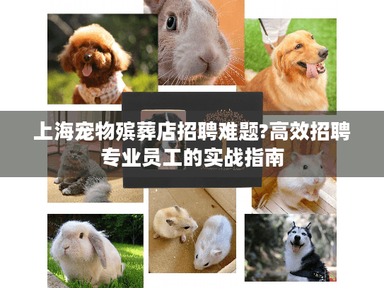 上海宠物殡葬店招聘难题?高效招聘专业员工的实战指南
