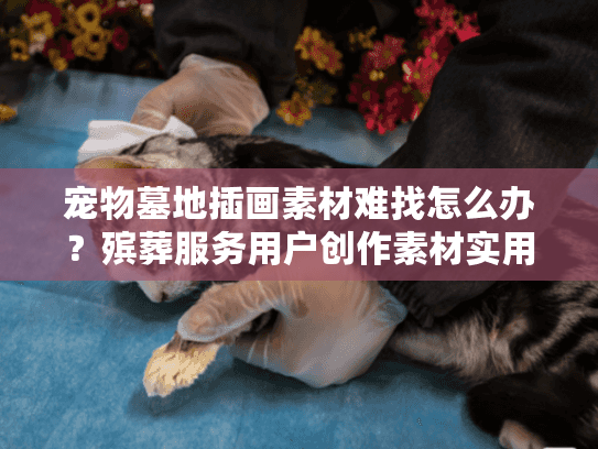 宠物墓地插画素材难找怎么办？殡葬服务用户创作素材实用指南