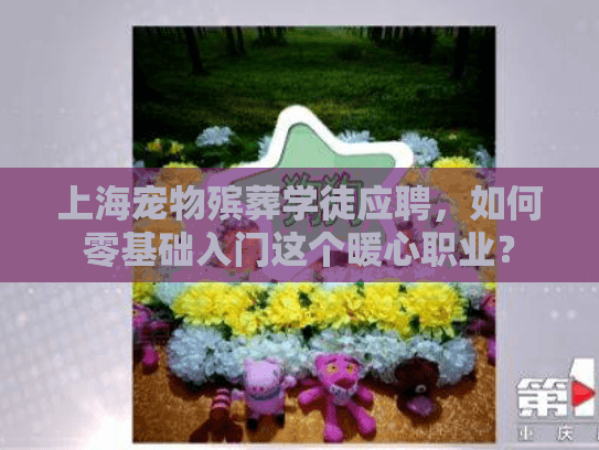 上海宠物殡葬学徒应聘，如何零基础入门这个暖心职业？