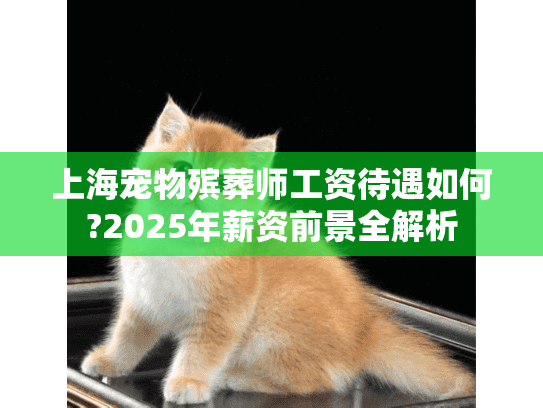 上海宠物殡葬师工资待遇如何?2025年薪资前景全解析