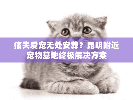 痛失爱宠无处安葬？昆明附近宠物墓地终极解决方案