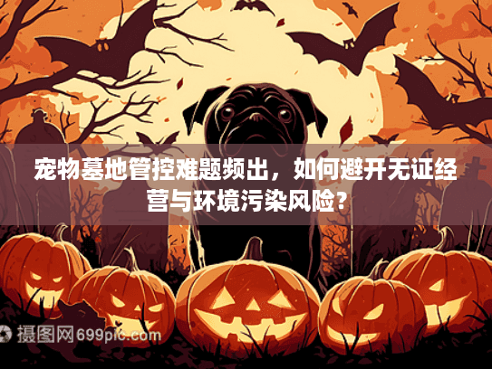 宠物墓地管控难题频出，如何避开无证经营与环境污染风险？