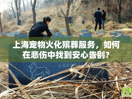 上海宠物火化殡葬服务，如何在悲伤中找到安心告别？