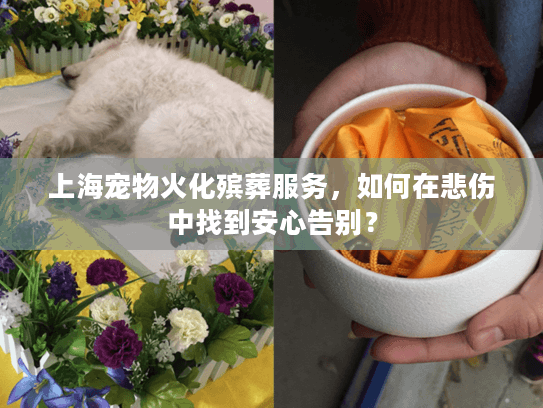 上海宠物火化殡葬服务，如何在悲伤中找到安心告别？