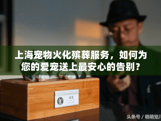 上海宠物火化殡葬服务，如何为您的爱宠送上最安心的告别？