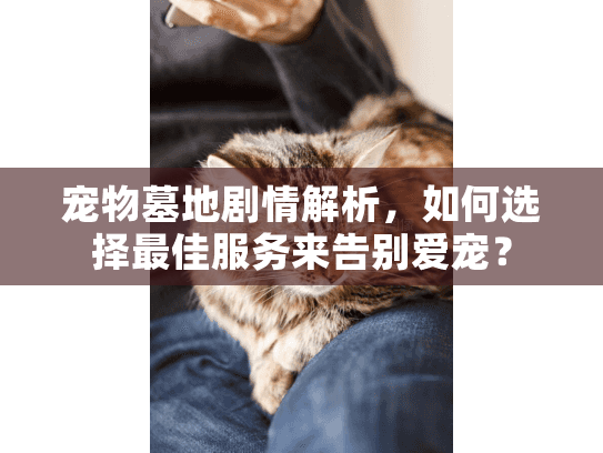 宠物墓地剧情解析，如何选择最佳服务来告别爱宠？