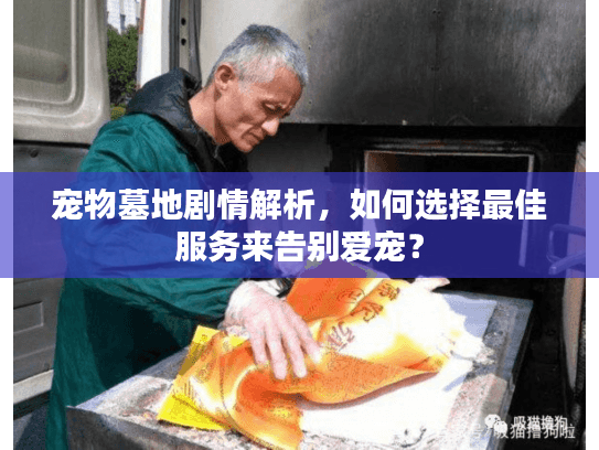宠物墓地剧情解析，如何选择最佳服务来告别爱宠？