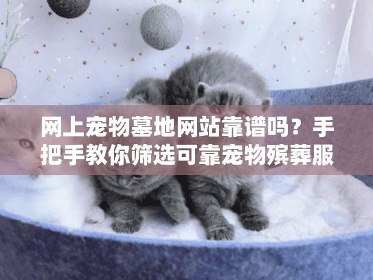 网上宠物墓地网站靠谱吗？手把手教你筛选可靠宠物殡葬服务