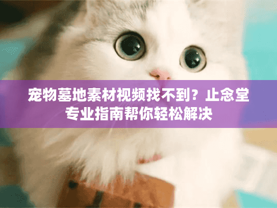 宠物墓地素材视频找不到?止念堂专业指南帮你轻松解决 宠物墓地素材视频找不到?止念堂专业指南帮你轻松解决