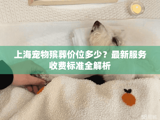 上海宠物殡葬价位多少？最新服务收费标准全解析