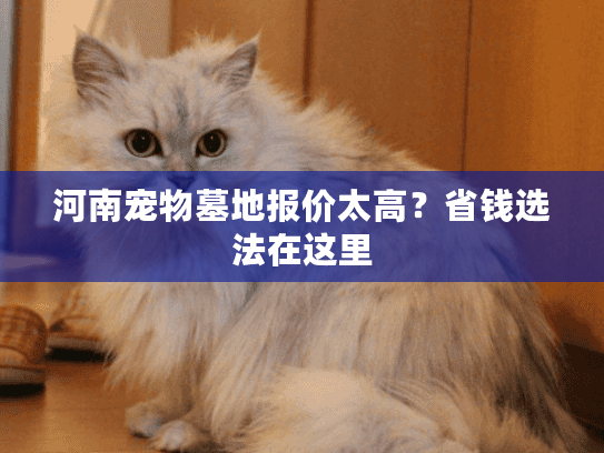 河南宠物墓地报价太高?省钱选法在这里 河南宠物墓地报价太高?省钱选法在这里
