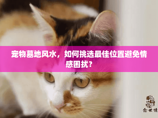 宠物墓地风水，如何挑选最佳位置避免情感困扰？