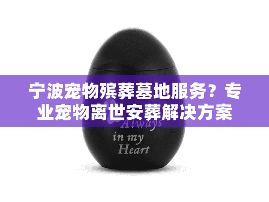 宁波宠物殡葬墓地服务？专业宠物离世安葬解决方案