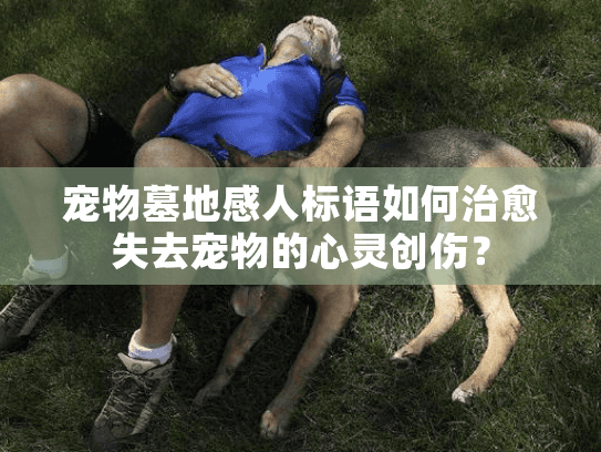 宠物墓地感人标语如何治愈失去宠物的心灵创伤? 宠物墓地感人标语如何治愈失去宠物的心灵创伤?