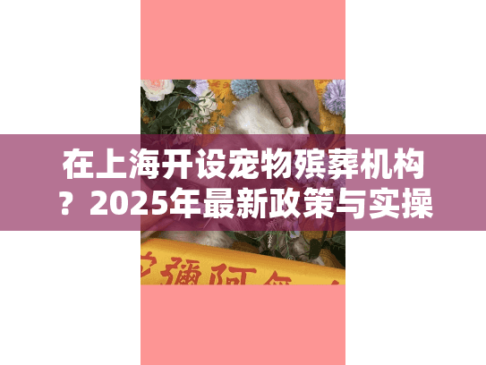 在上海开设宠物殡葬机构？2025年最新政策与实操指南