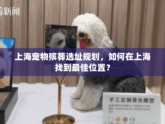 上海宠物殡葬选址规划，如何在上海找到最佳位置？