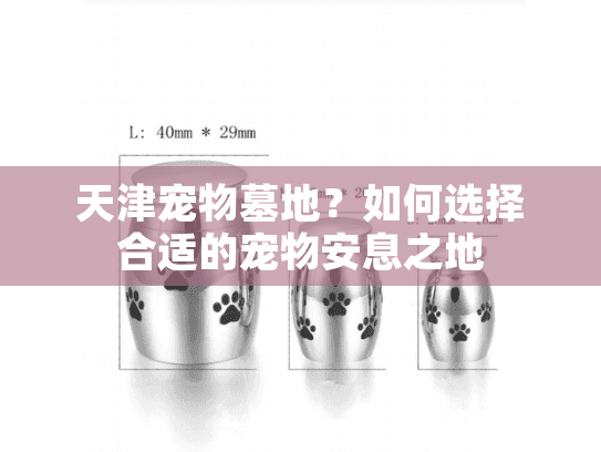 天津宠物墓地？如何选择合适的宠物安息之地