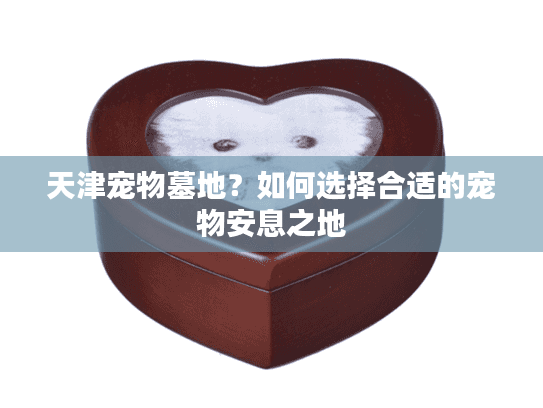 天津宠物墓地？如何选择合适的宠物安息之地