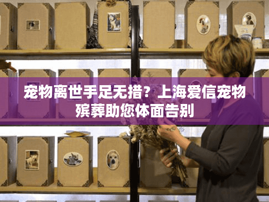 宠物离世手足无措？上海爱信宠物殡葬助您体面告别