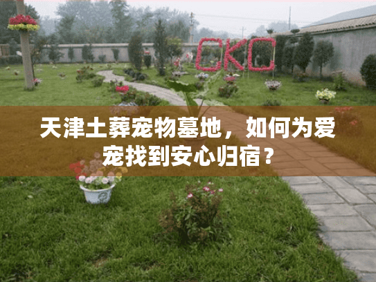 天津土葬宠物墓地，如何为爱宠找到安心归宿？