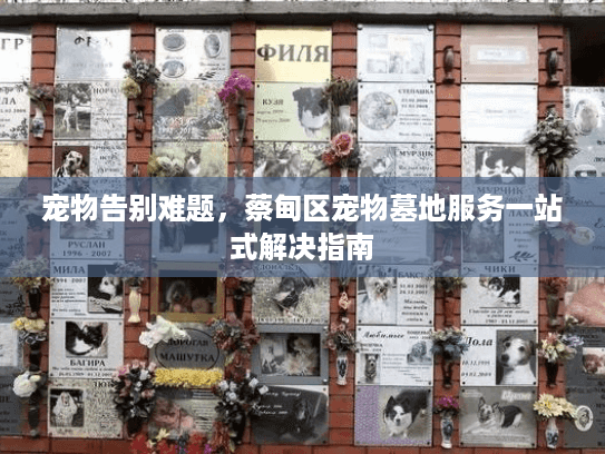宠物告别难题，蔡甸区宠物墓地服务一站式解决指南