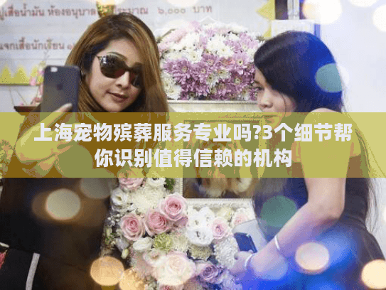 上海宠物殡葬服务专业吗?3个细节帮你识别值得信赖的机构