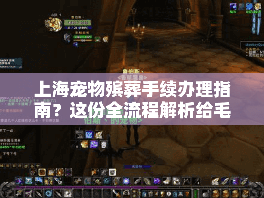 上海宠物殡葬手续办理指南？这份全流程解析给毛孩子最后的体面