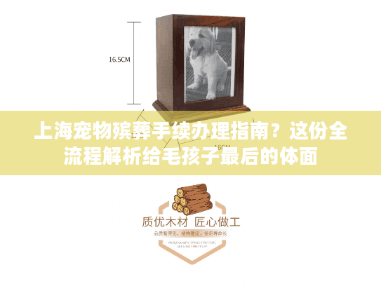 上海宠物殡葬手续办理指南？这份全流程解析给毛孩子最后的体面