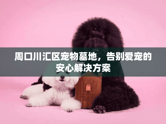 周口川汇区宠物墓地，告别爱宠的安心解决方案