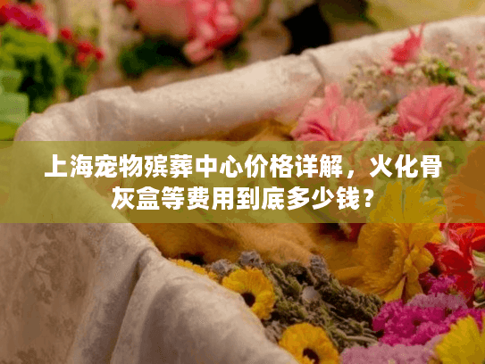 上海宠物殡葬中心价格详解，火化骨灰盒等费用到底多少钱？